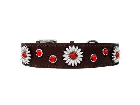 Daisy V